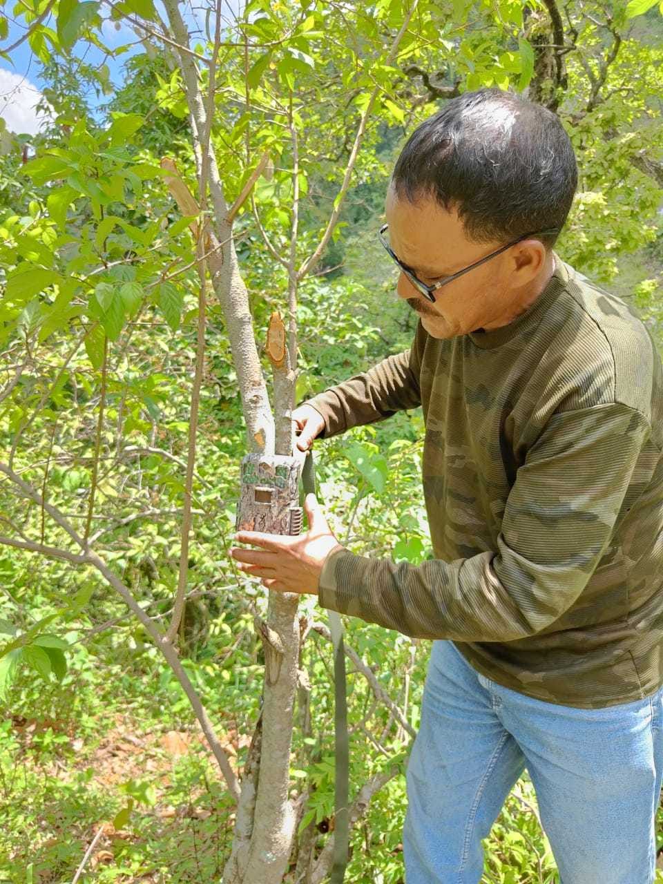 Seven member forest monitoring team will stop villagers from going to the forest