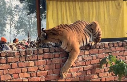 Full on New Year, Aranya Kuti will be reserved for VIP