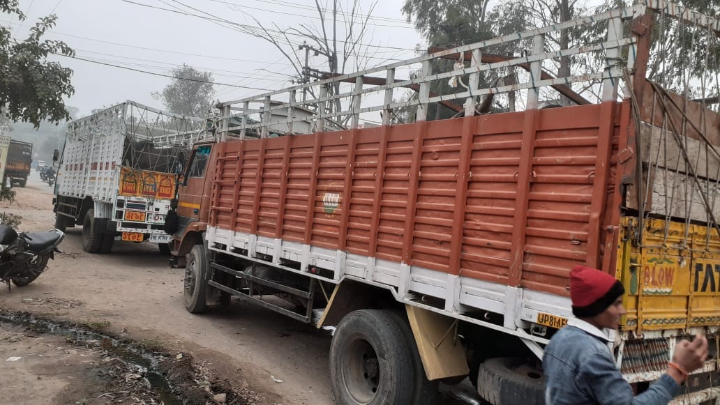 Alleged cow protectors stopped a truck full of cows going to the cowshed