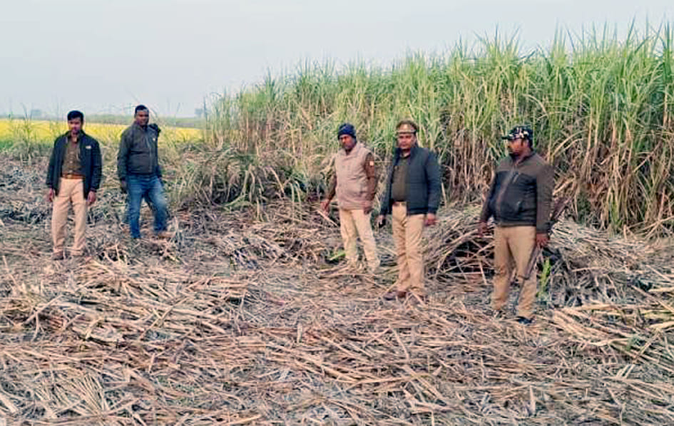 Forest department increased vigilance after tiger attack