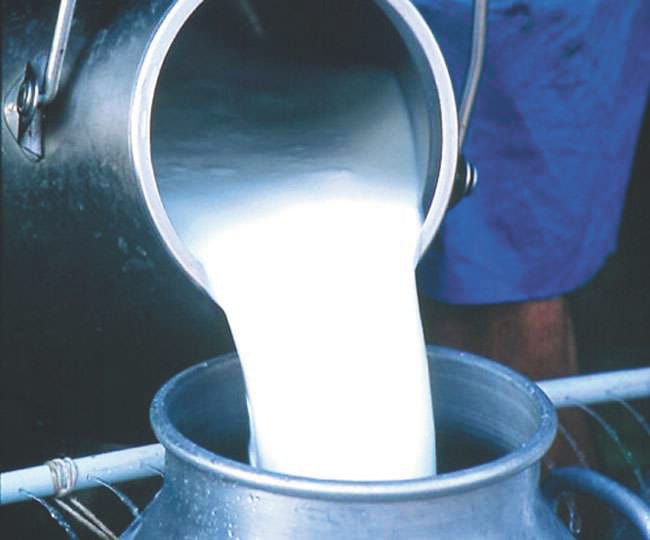 Record increase in milk production, Nainital at the forefront