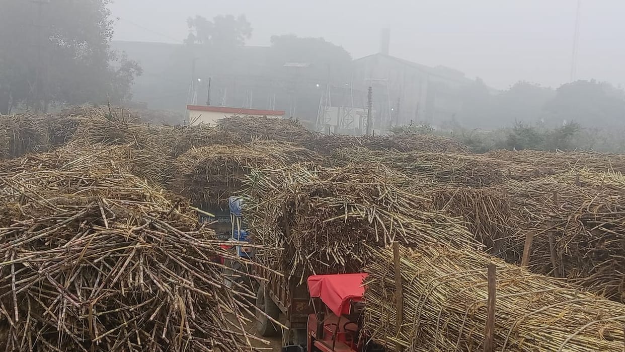 Sugar mill remained closed for seven hours