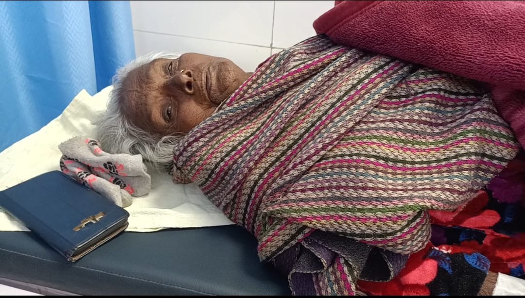 An old woman was picked up by a cow and thrown on its horns, her hip bone was broken, the woman was bitten by a dog.