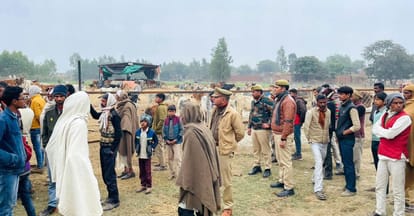 Pet cows molested in cow shelter, officers reached on complaint
