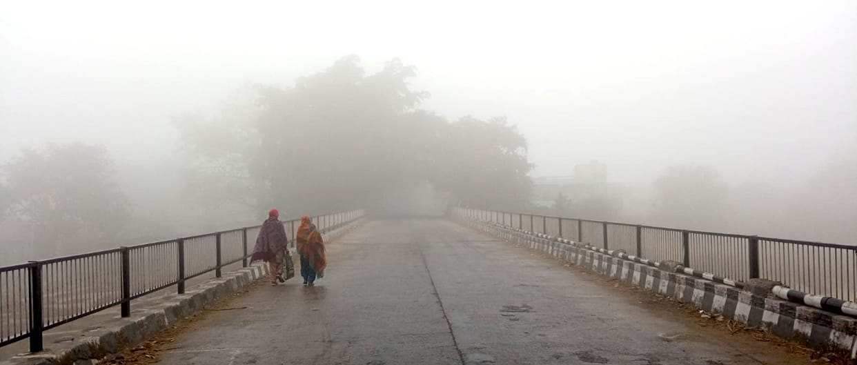Sun remained ineffective, cold wave raged