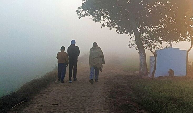 Cold wave started, difference in day and night temperature decreased
