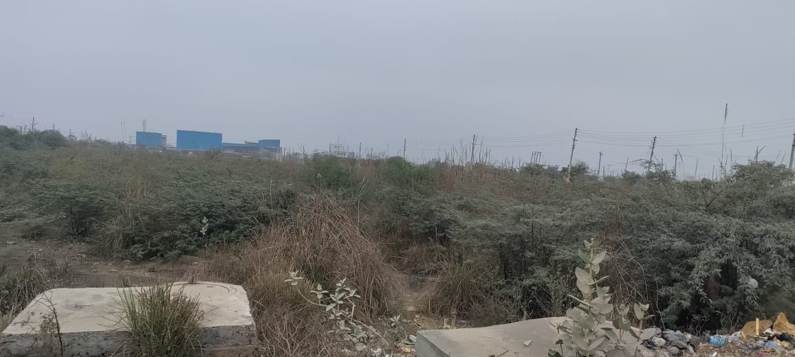 Now land selected in Sector 5, got two and a half acres of land