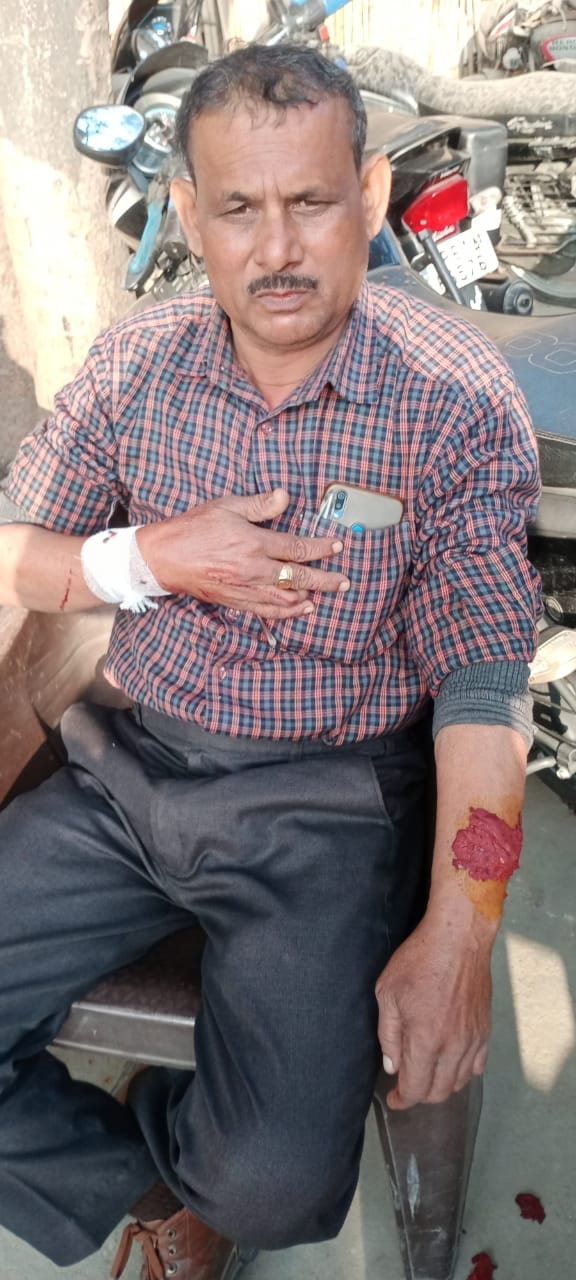 Forest inspector attacked for refusing to cut trees
