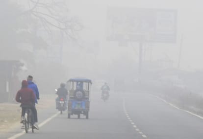 Cold wave increased the cold, sunshine gave relief