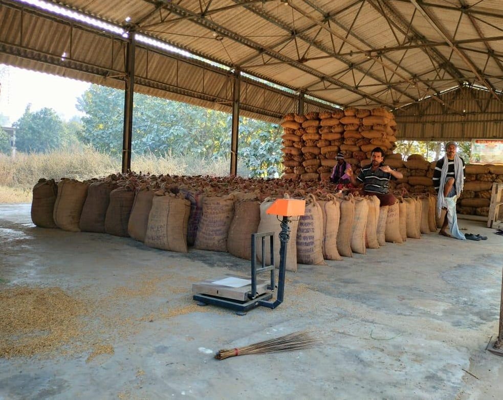 Farmers waiting for sacks to sell paddy by putting numbers on it