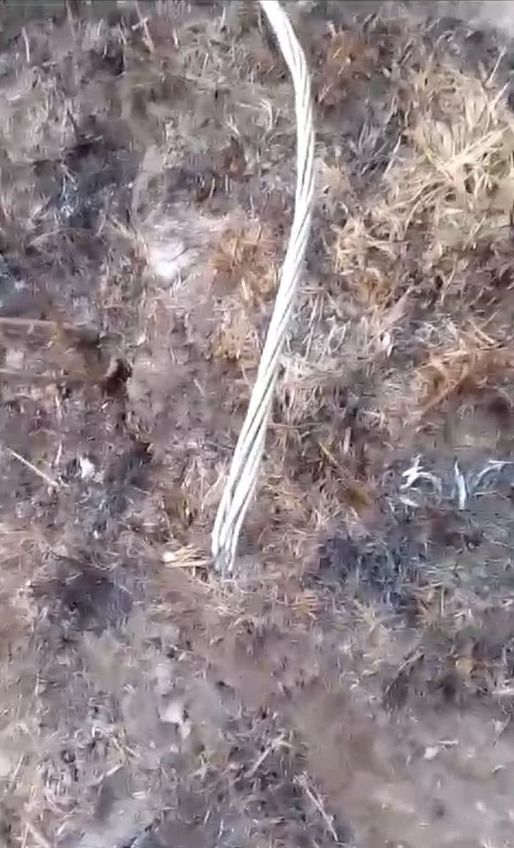 Thieves stole 100 meter long electric wire and two poles