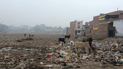 The picture of the city's pucca pond will change