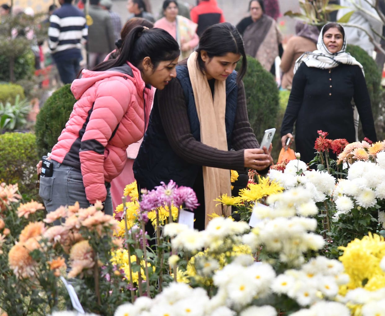 Rajesh won the first prize in fresh flower arrangement and Ramesh won the first prize in dried flower arrangement.
