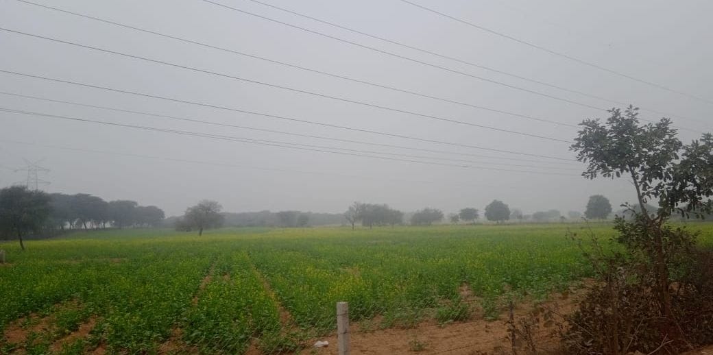 Severe cold continues, relief from decreasing level of pollution