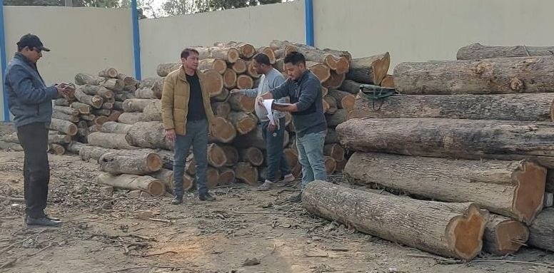Took permission for 30 and cut 80 trees