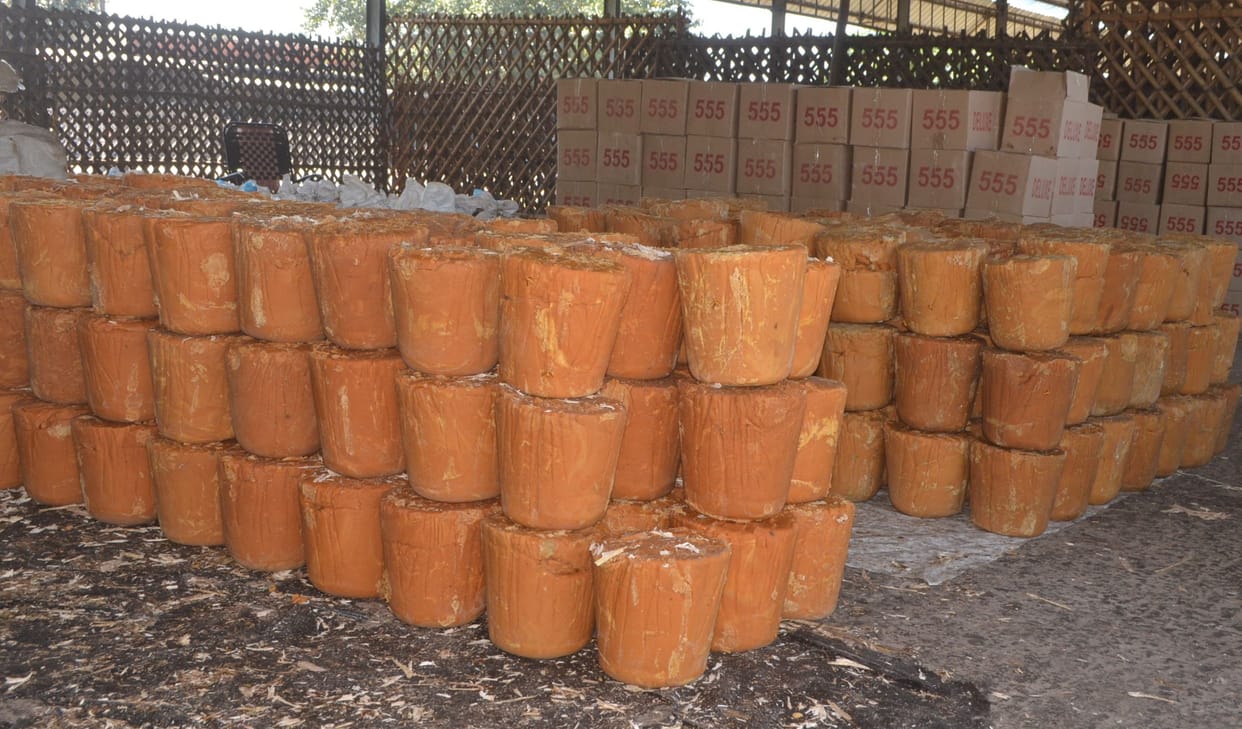 Jaggery becomes costlier than sugar by Rs 9 per kg