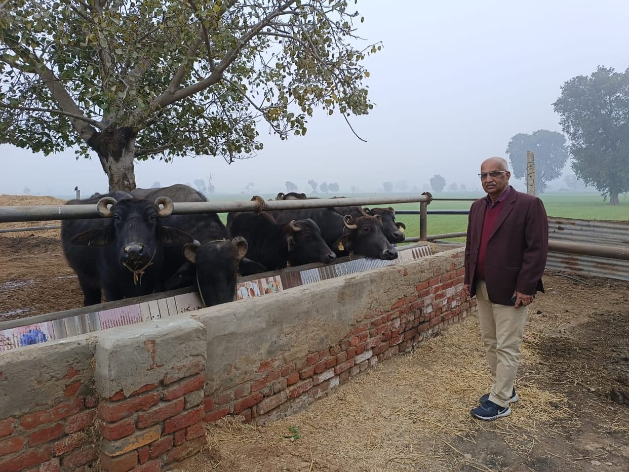 Animal farmers should feed jaggery and balanced diet to animals in winter: Dr. Vidyasagar Bansal