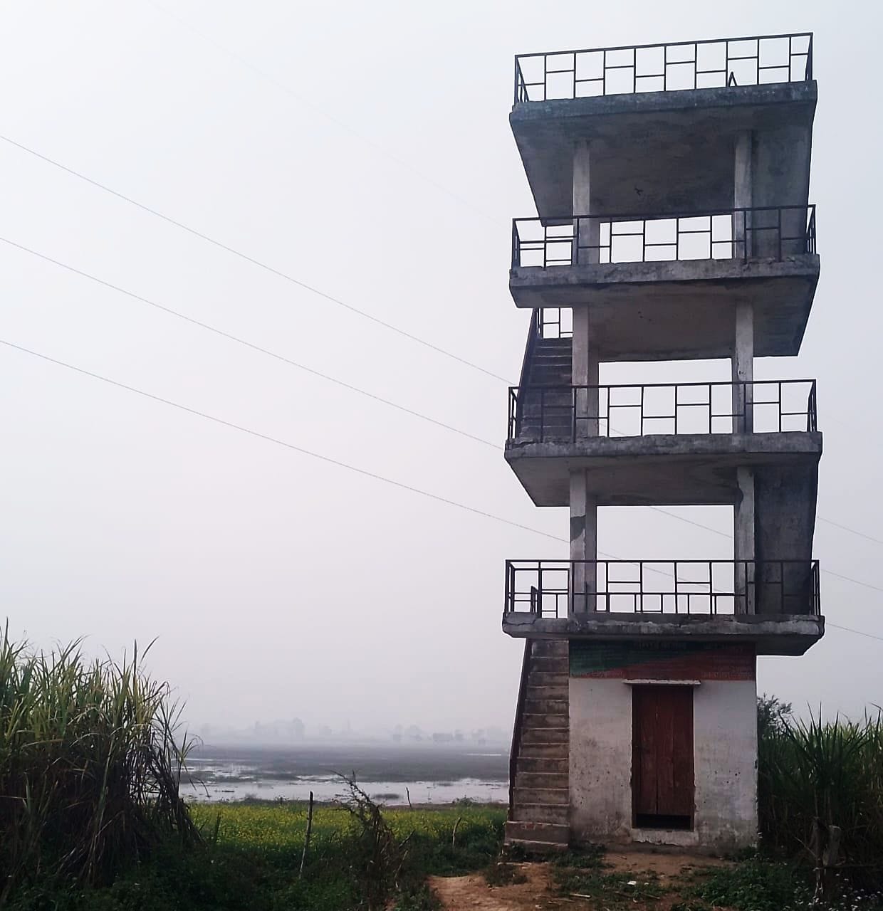Semrai Wetland buzzes with migratory birds