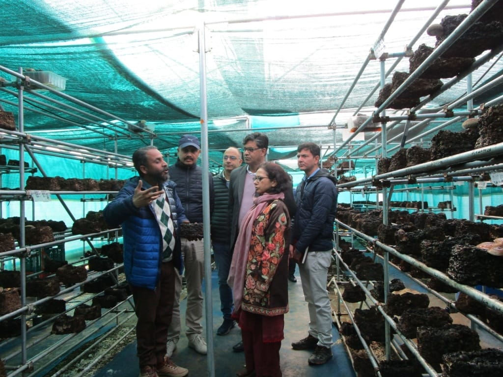 Shiitake mushroom will be recognized through fairs and festivals: Kumud