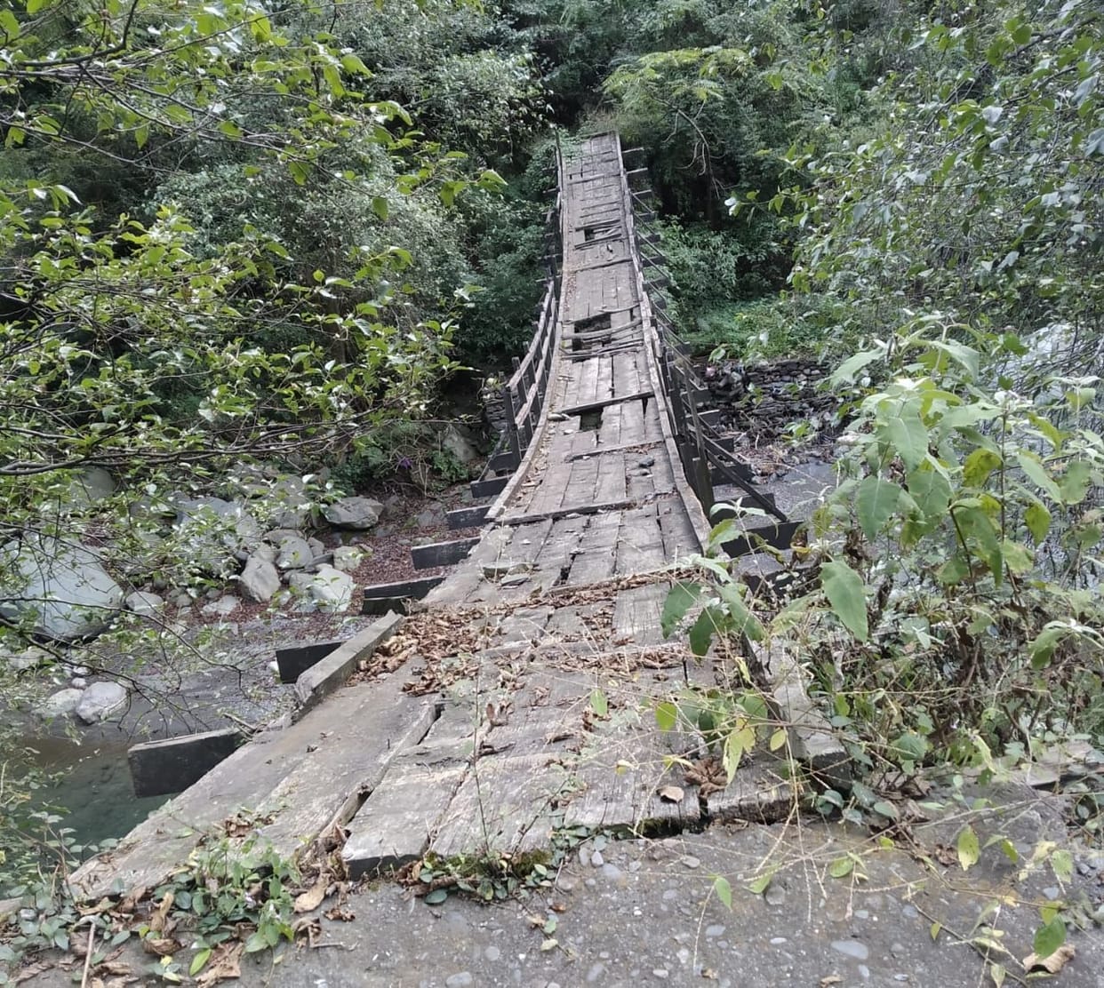 Bridge's planks broken, not even railing for safety
