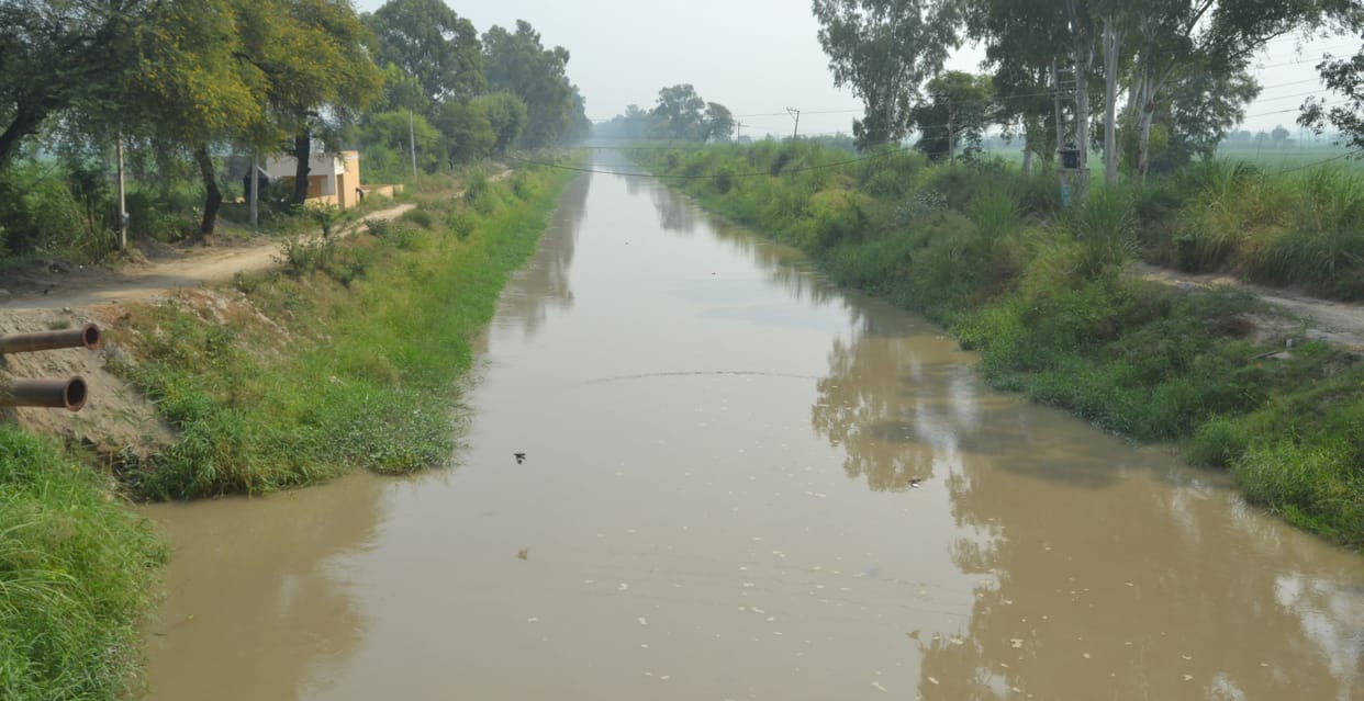 350 cusecs of water reached the canals