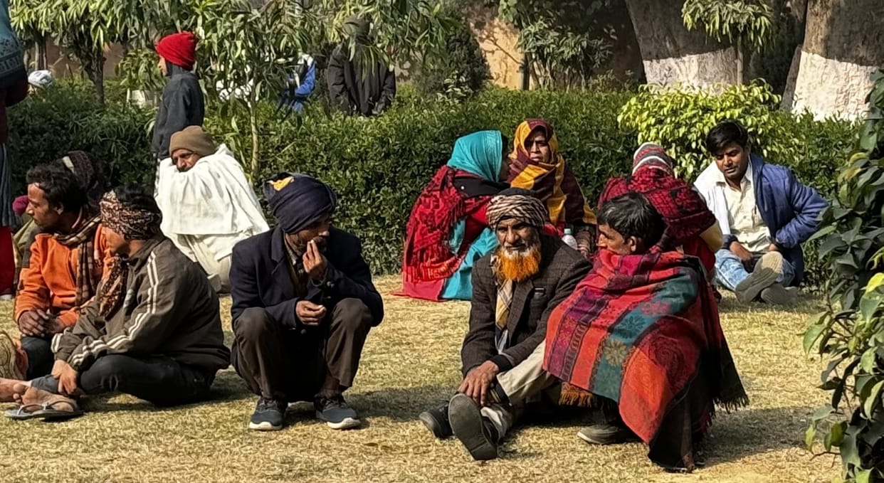 cold wave continued, sunlight also remained ineffective