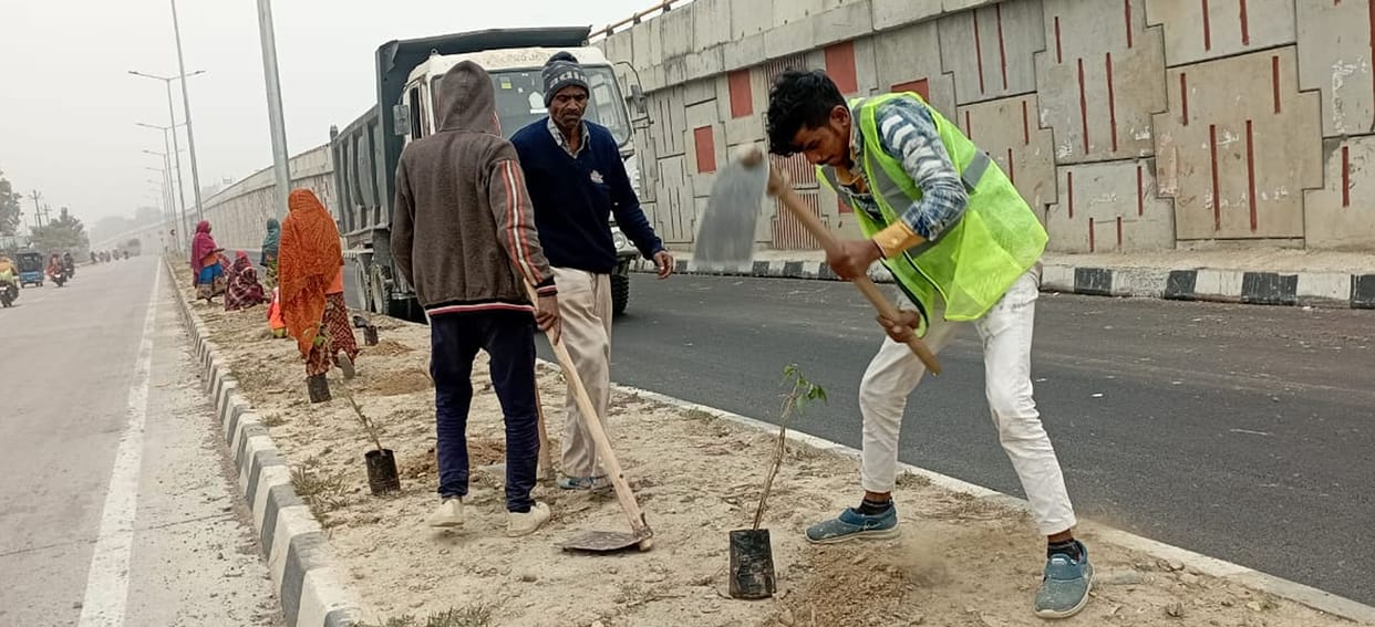 The beauty of the city is being enhanced by planting trees.