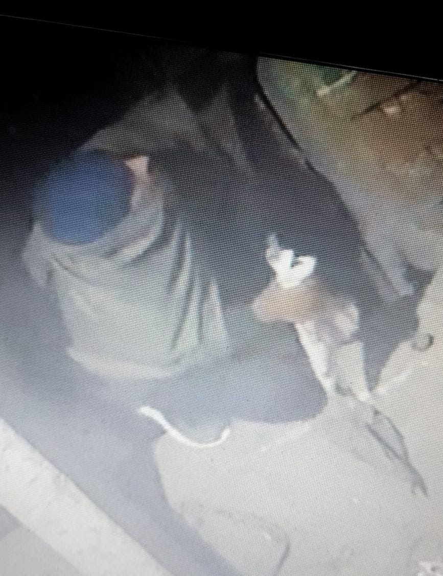 Thieves took away 6 LEDs and 10 thousand rupees by uprooting the roof of the shop