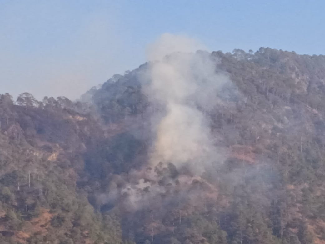 The forest has been burning for two days