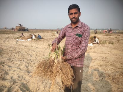 National Youth Day: Left advocacy and took up poppy cultivation