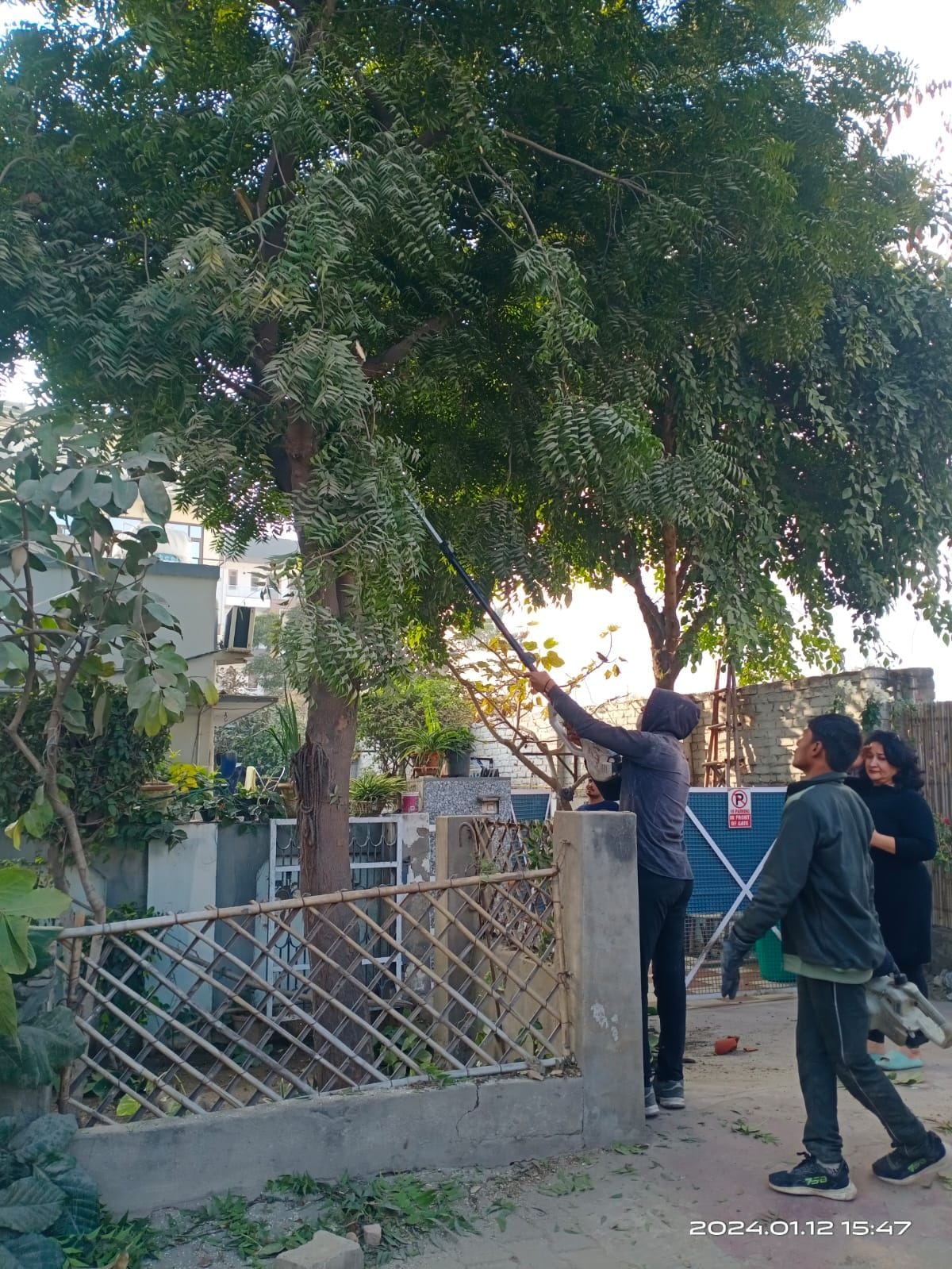 Due to pruning of trees in Model Town, there was power cut for six hours in various colonies on Friday. This caused problems to the people living in the colonies.