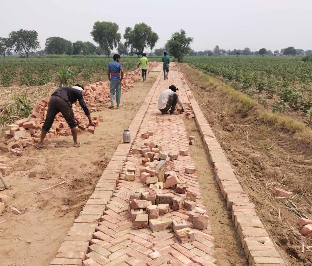 Most of the MNREGA work was done in Panchayat Minister's circle, Fatehabad and Ratia affected.