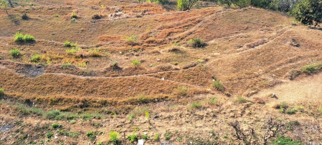 200 drains of land of Gwadi lay barren due to breaking of irrigation canal.