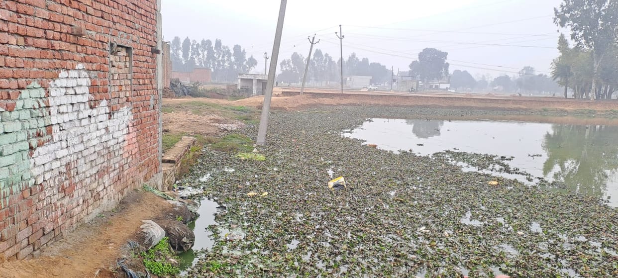 A path was made by pouring soil into the pond