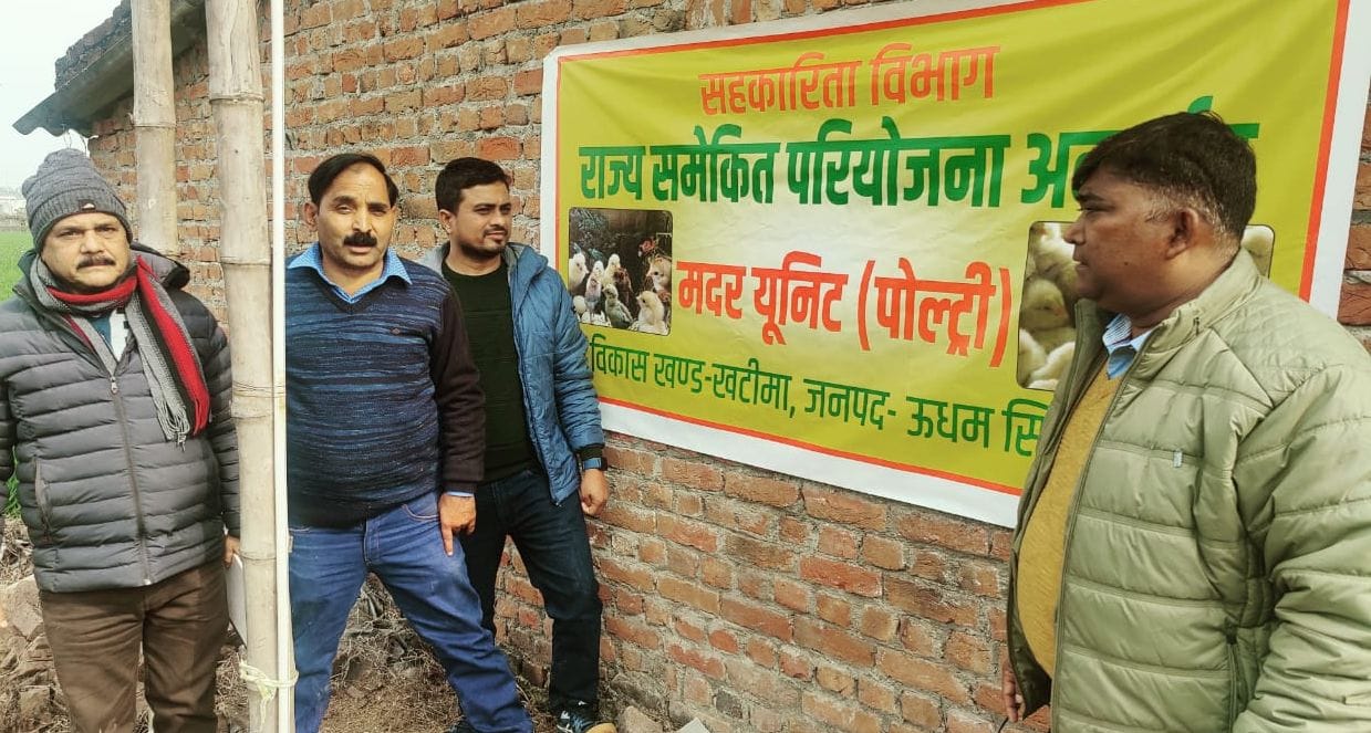 Provided 2400 chicks through Poultry Valley Scheme