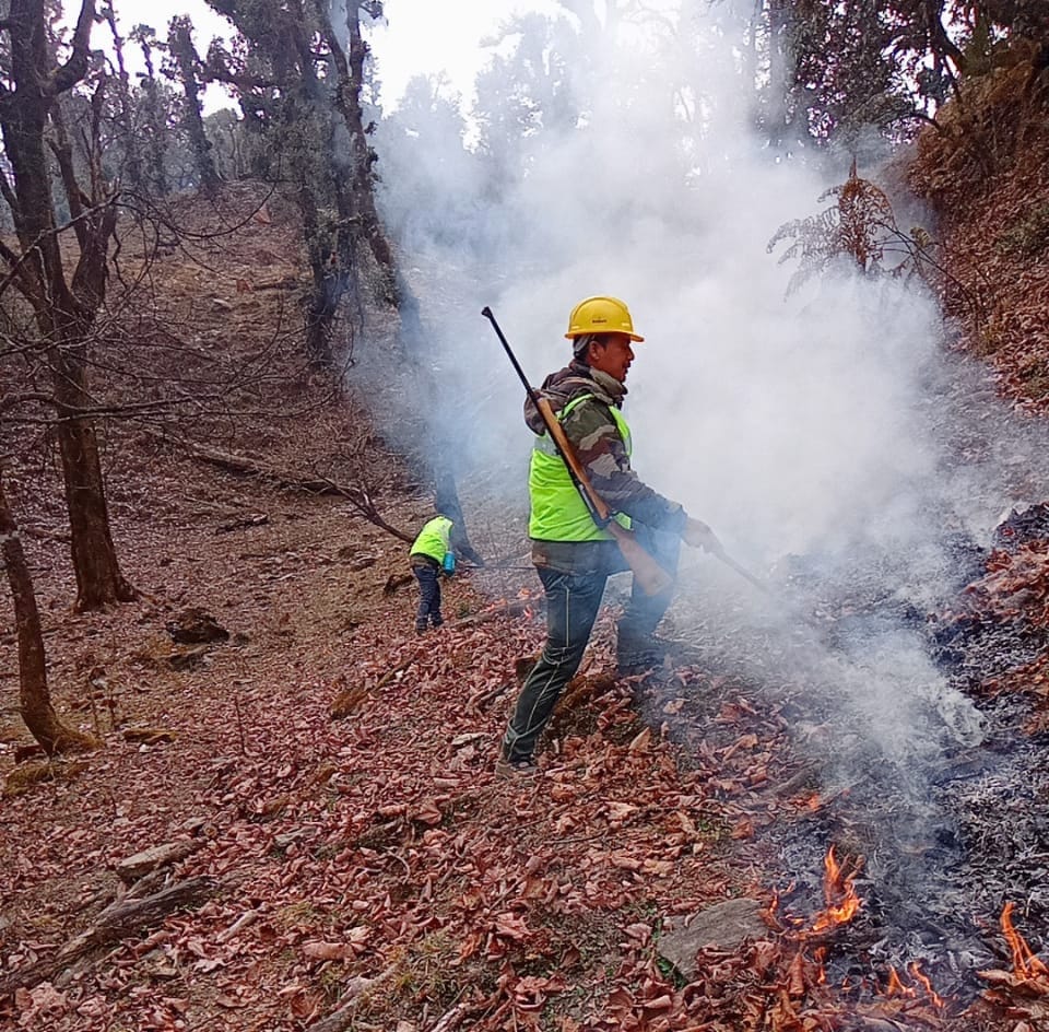 Fire in the forests of Uttarakhand