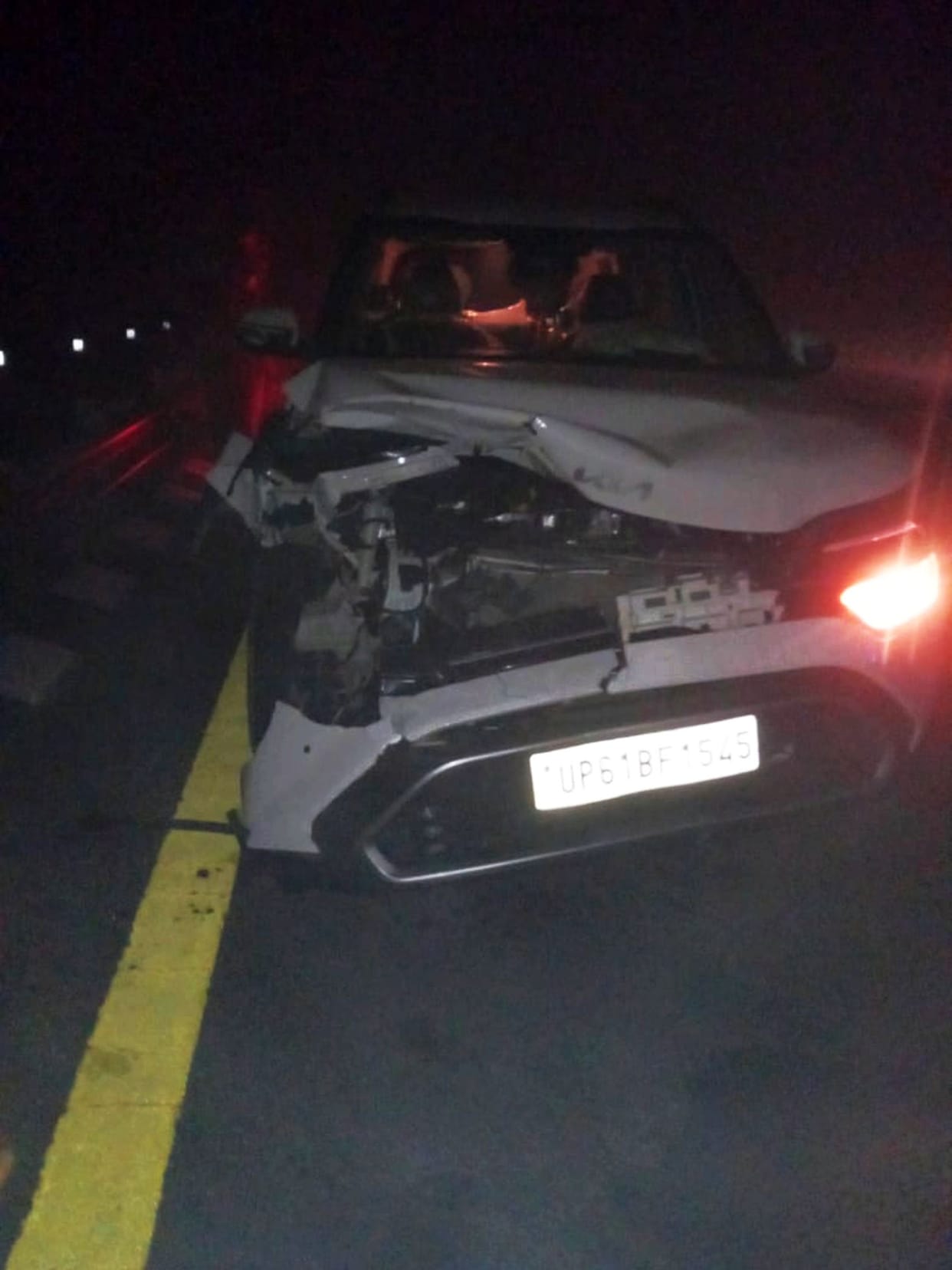 Car collides with cattle in fog, seven injured