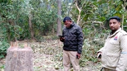 Preparation to file case against small woodcutters...raids going on