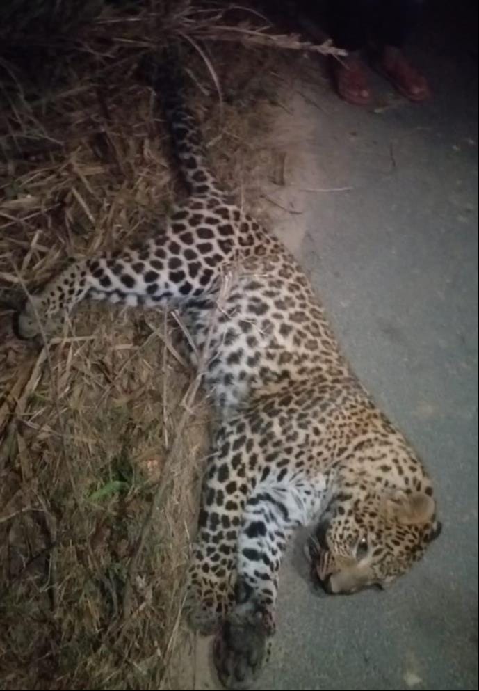 Guldar dies in road accident