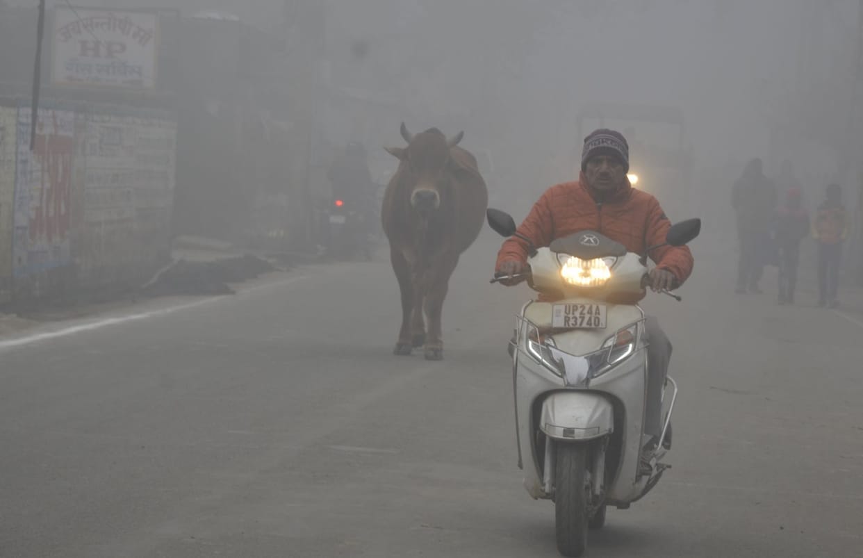 Cold wave shook with fog, schools up to 12th closed till 17th