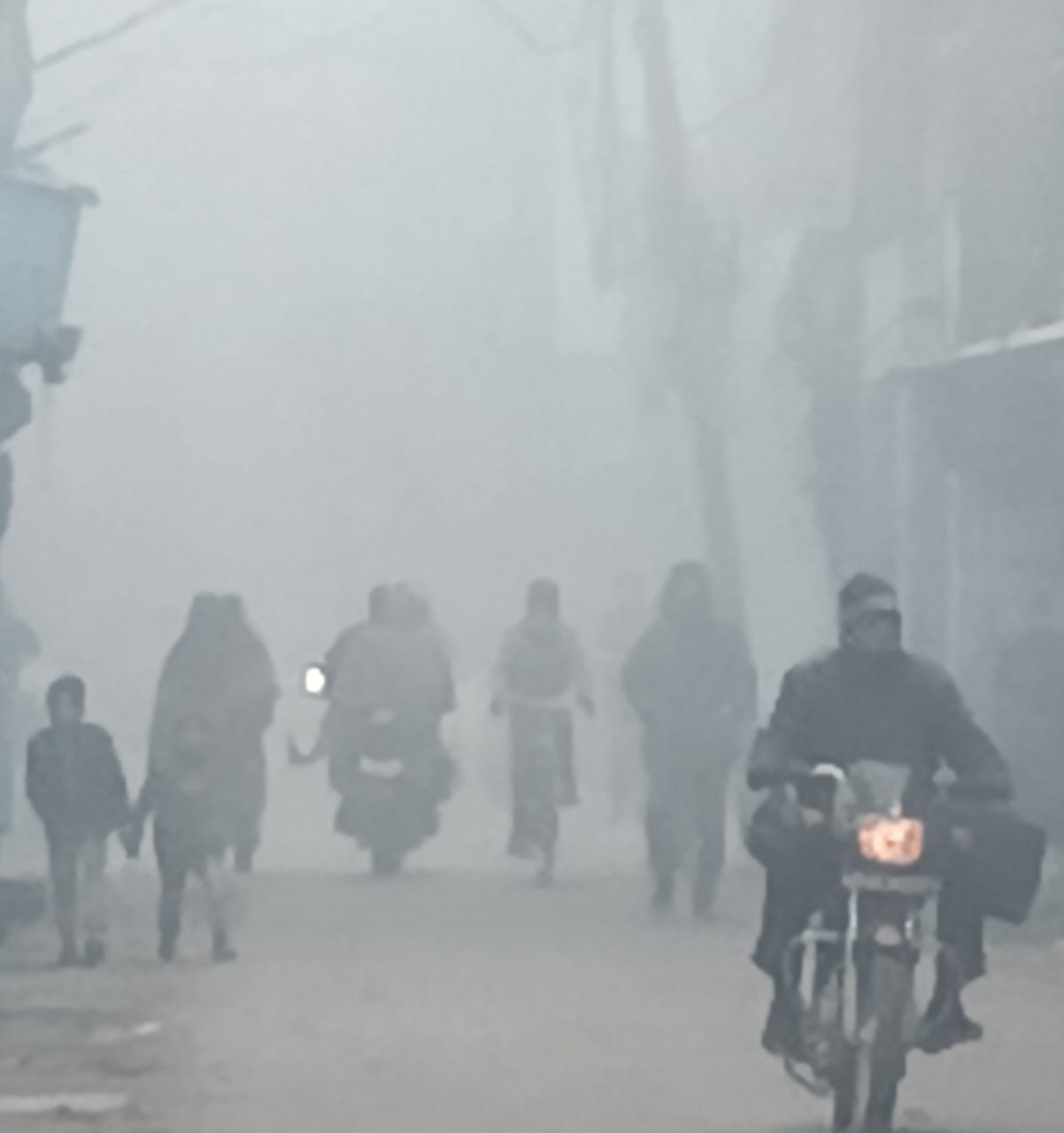 Fog stopped the speed... vehicles crawled on the highway, cold wave also troubled