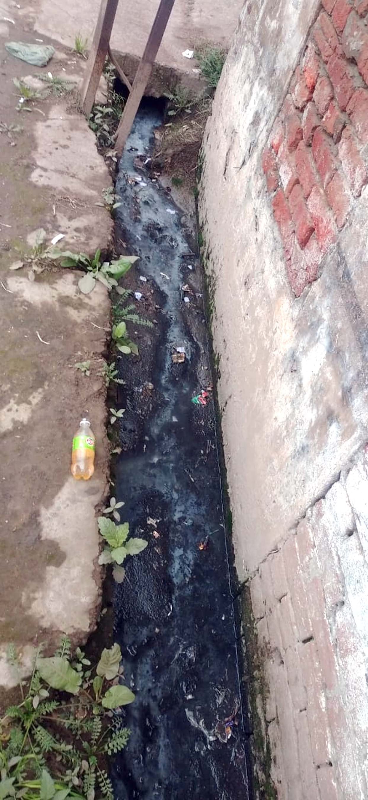 Dirt in Durga Nagar, watercress in the plot