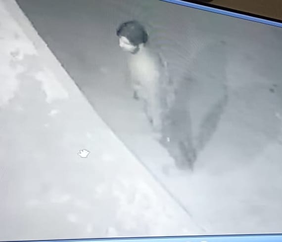Armed thieves seen again in village Dewas