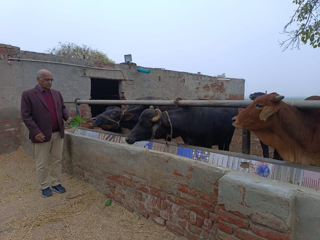 Take special care of animals in cold weather