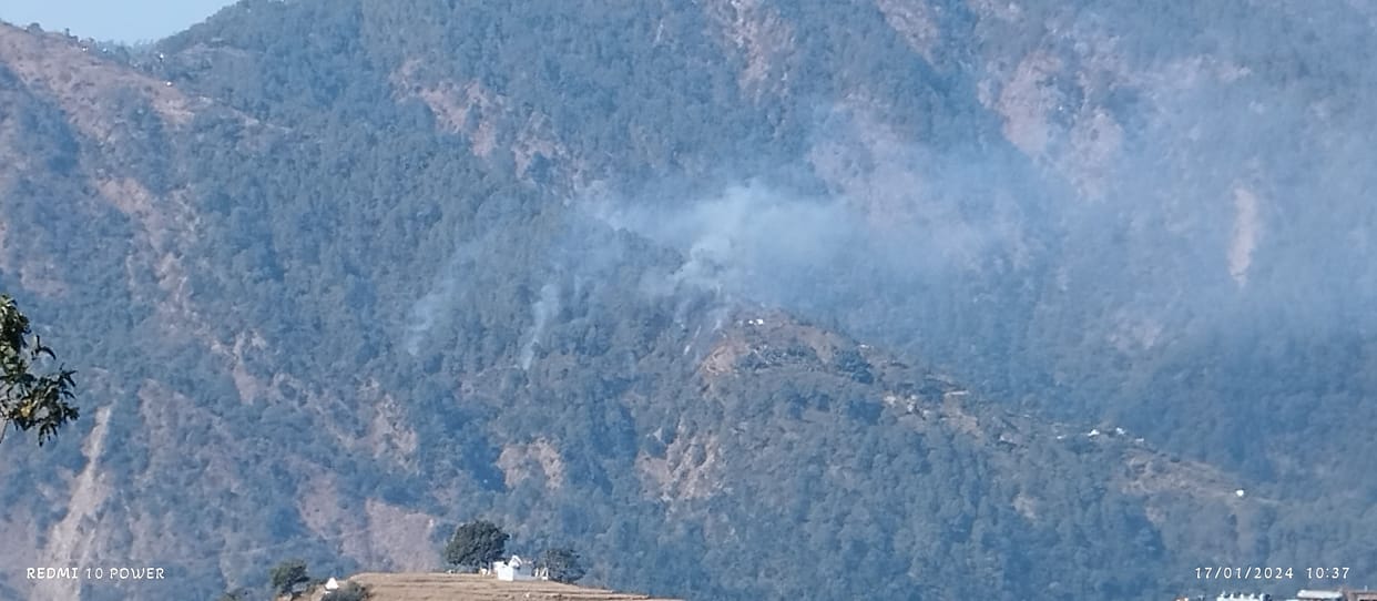 Fire blazes in the forests of Amodi Quarsing