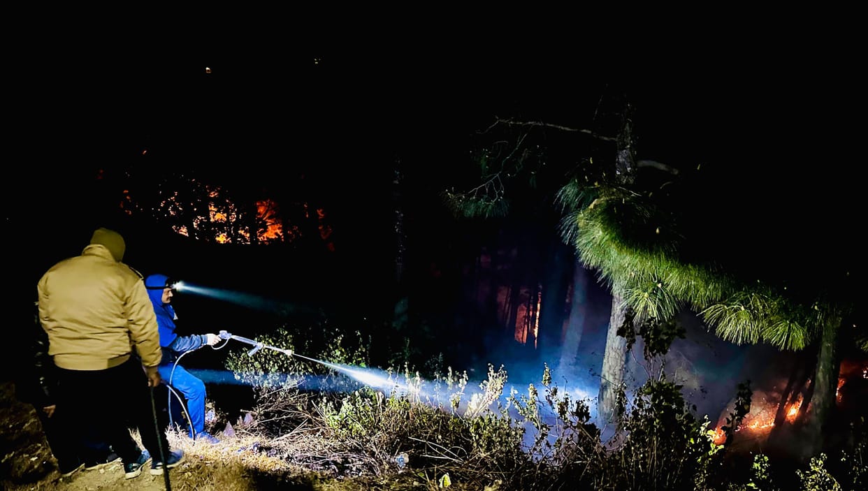 Fire near tea garden in Kausani
