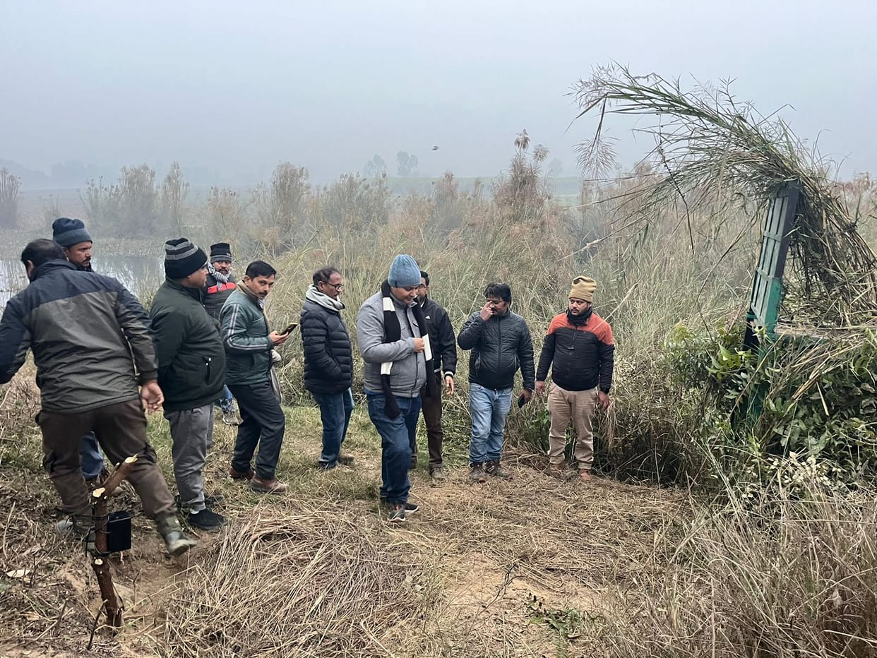 Seeing the delay in the rescue of the tigress, a cage was put up, a goat was tied.