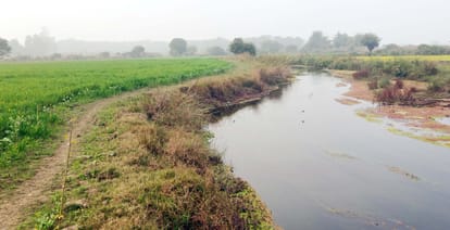 Preparation for water sports in Lucknow, farming till the edge in Puwayan