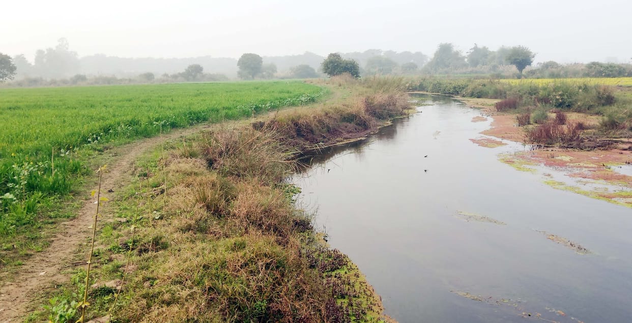 Preparation for water sports in Lucknow, farming till the edge in Puwayan