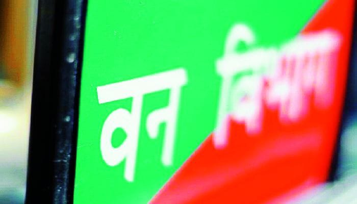 Forest guard suspended for illegal cutting of trees